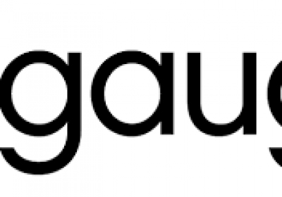 gauge bdd framework to write test codes